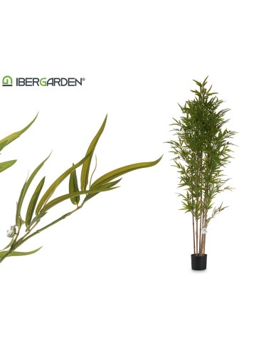 Planta maceta bambu