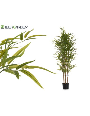 Planta maceta bambu