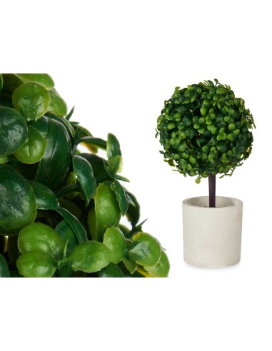 Maceta cemento arbol verde