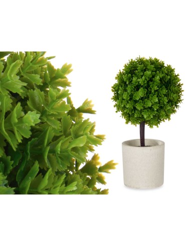 Maceta cemento arbol verde