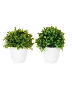 Maceta plastico flores verdes 2