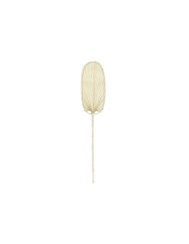 Hoja 125cm de fibra de palma