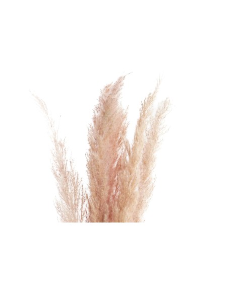 Pampa set de 5 varas Melocotón