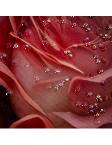 Cuadro Mujer con flores impresión lacada