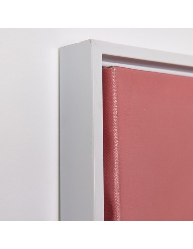 Cuadro Gato Rosa Brillantes