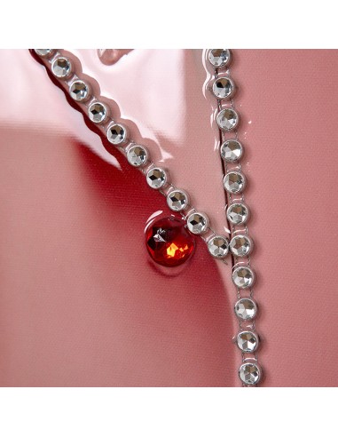 Cuadro Gato Rosa Brillantes