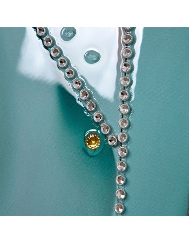 Cuadro Gato Azul Brillantes