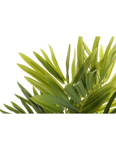 Planta palmera verde 70cm 2