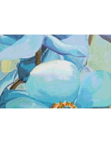 Cuadro lienzo flores 40*40