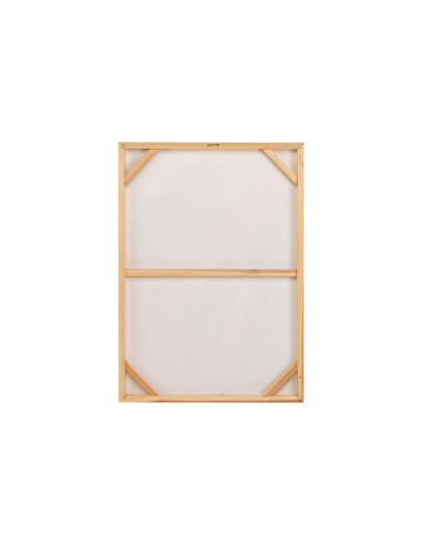 Cuadro lienzo hojas 50*70cm