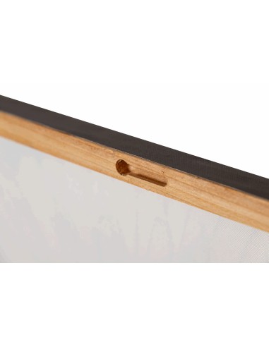 Cuadro lienzo flor 60*60cm