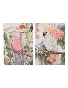 Cuadro lienzo cacatua 50*70