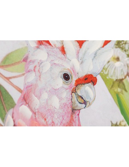 Cuadro lienzo cacatua 50*70
