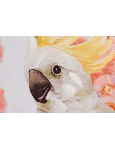 Cuadro lienzo cacatua 50*70