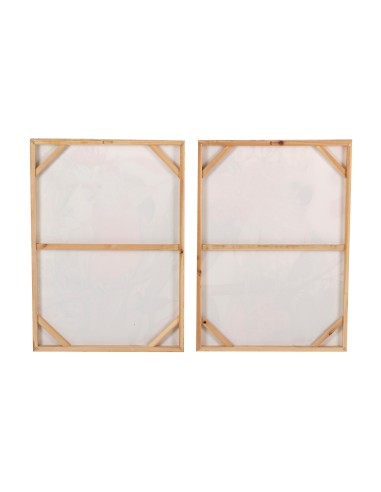 Cuadro lienzo cacatua 50*70