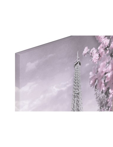 Cuadro Paris Torre Eiffel plata y rosa