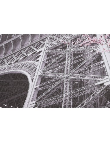 Cuadro Paris Torre Eiffel plata y rosa