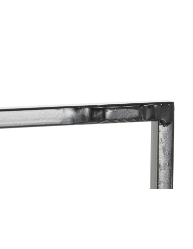 Decoración de metal loro 50*50