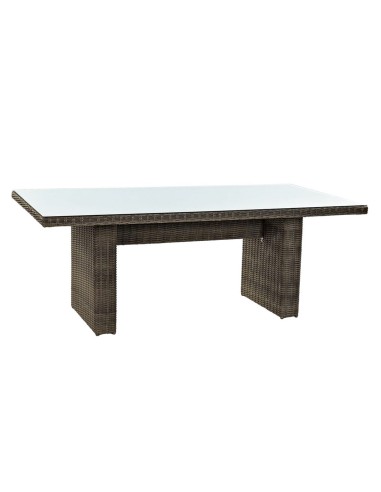 Conjunto de Jardín Mesa y 6 Sillas de Ratán marrón