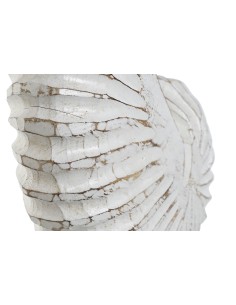 Decoración de albasia diseño caracola 2