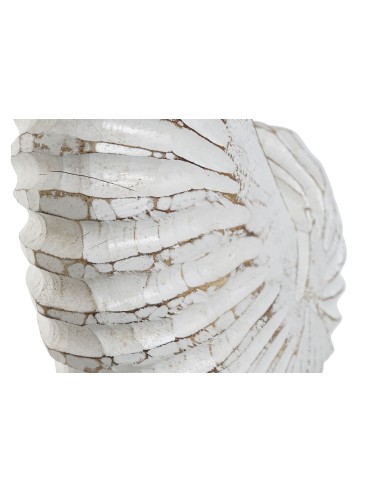 Decoración de albasia diseño caracola