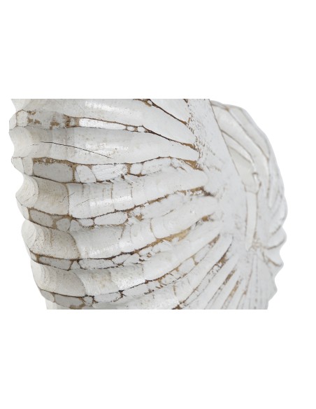 Decoración de albasia diseño caracola