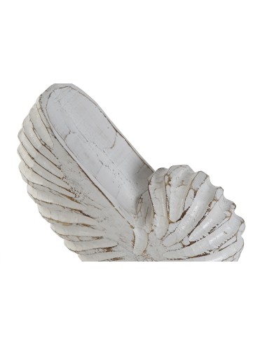 Decoración de albasia diseño caracola