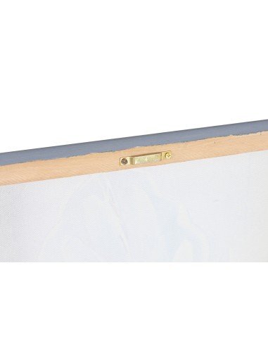 Cuadro lienzo diseño plumas