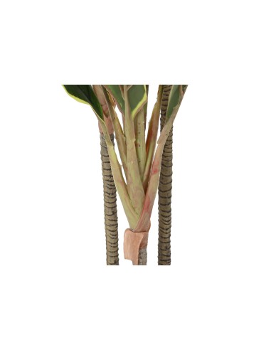 Planta artificial dracena verde
