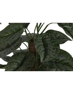 Planta artificial calathea verde 2