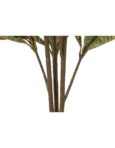 Planta artificial crotón verde