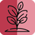 Categor&iacute;a de Plantas Artificiales